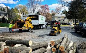 Best Tree Health Inspection  in Bentleyville, PA