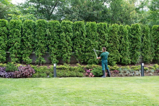 Best Lawn Fertilization  in Bentleyville, PA