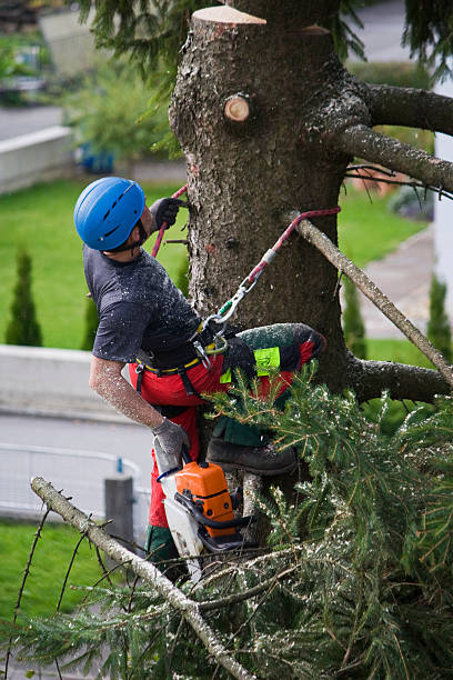 Best Lawn Watering Services  in Bentleyville, PA