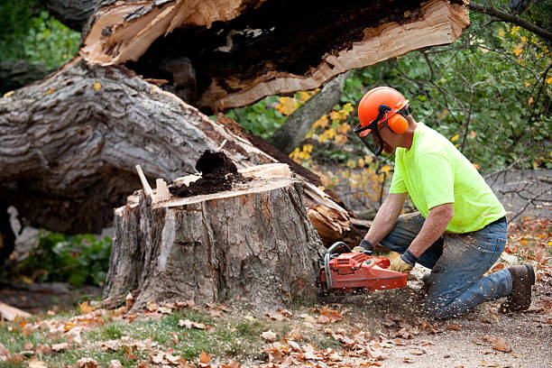 Best Commercial Tree Services  in Bentleyville, PA